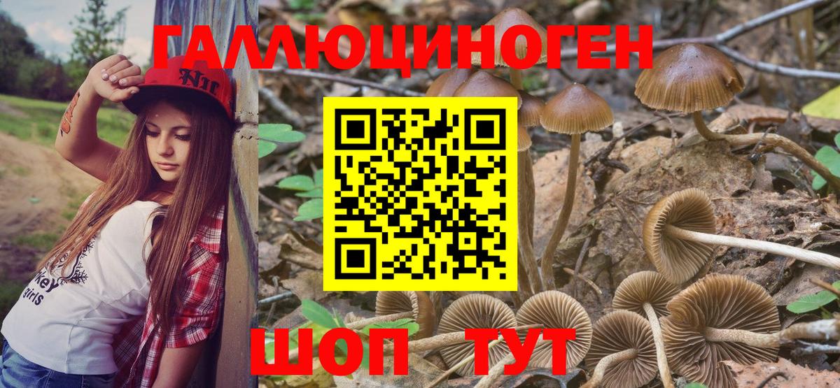 Калач-на-Дону  Галлюциногенные грибы GOLDEN TEACHER  Псилоцибиновые грибы ЛСД  Вход с VPN 